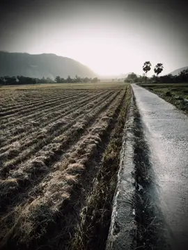 em đau trời cao có thấu..
