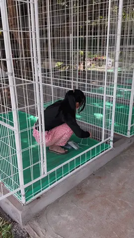 Kệ đi gán qua khúc này chắc ảnh sắm cho bộ vòng ximen 😂😂😂#68kiengiang 🌾#xuhuongtiktok ❤️#gachoivietnam🐓🐓🐓 #theodongsukien #trend 