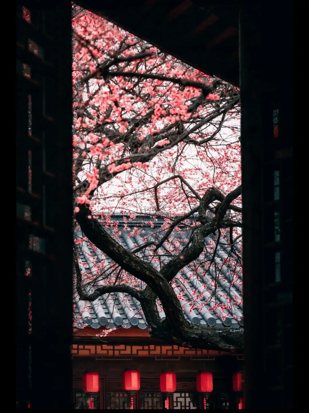 Giọt nguyệt chênh nghiêng, đêm khẽ đọng, sương gieo lên nhánh một tơ sa. Tựa thể nhân duyên vừa rớt nhạc, để lại trong đời chút vị hoa. #hoa #reverse0506 