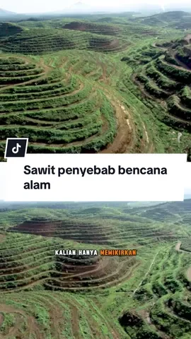 Mohon disimak sampai selesai! #ptdas #saveaceh #savesumut #savesumbar #sawit