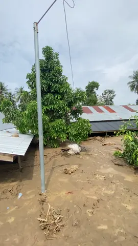 Sisa lumpur banjir pidie jaya #banjirbandang #meureudu #pidiejaya #bajiraceh 