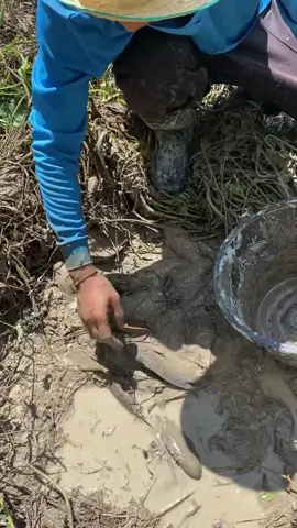 🌾🌾🐟🐟🐟😘❤️🙏