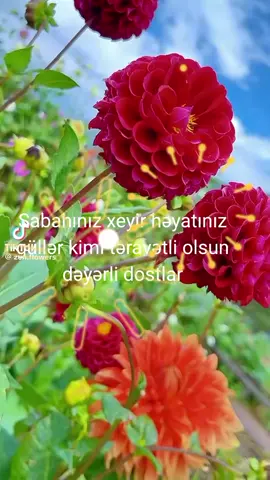 #anılar 