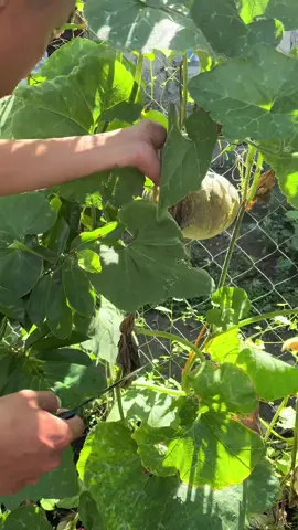 @maysa_nangisit HAHAHAHA #fyp #dorinil #foryou 