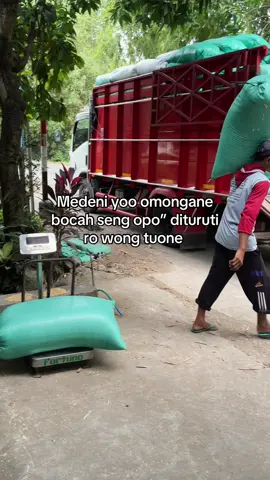 🙂#creatorsearchinsights #xybca #padidarat🌾 #madiun24jam #foyoupage 