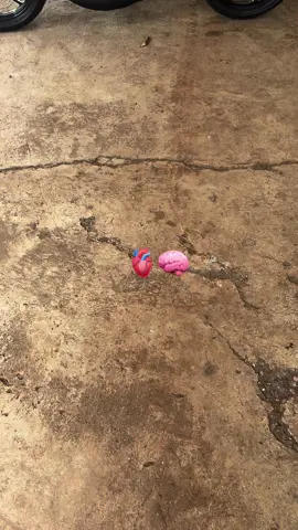 mengapa hanya sekejap saja🥹🫂#ninjass #galaubrutal #4u 