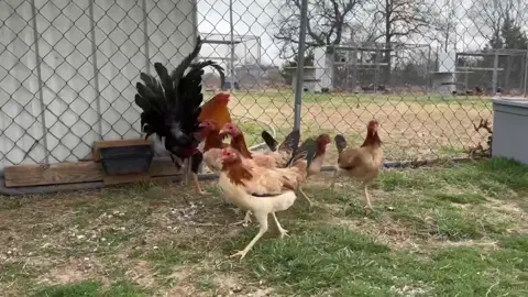 Material New Gemilang broto GF Jerry Jenkins sweater 🇺🇸🇺🇸🇺🇸