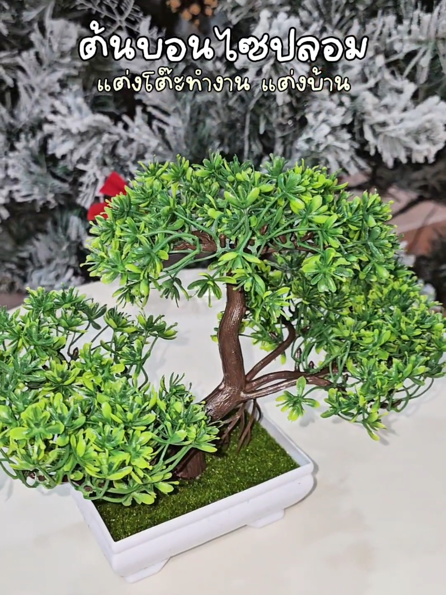 #ต้นบอนไซ #ต้นไม้ปลอม #ต้นไม้ปลอมตกแต่งบ้านและสวน #ต้นไม้ปลอมตกแต่งห้อง #ต้นไม้มินิมอล 