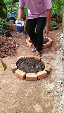 Agar media tanam makin subur, beri bubuk cangkang telur + arang