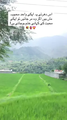 اس دھرتی پہ اپکی واحد محبوبہ ماں ہیں اگر وہ مر جائیں تو اپکی محبت کی کہانی ختم ہوجاتی ہے!#پشتون_تاجیک_هزاره_ازبک_زنده_باد🇦🇫 #100k #وطن🚩💐 #Mention #