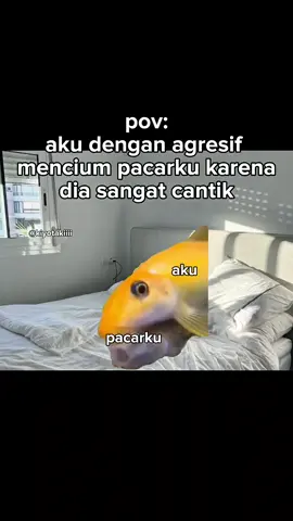 abisnya kamu cantik banget sih😭 #meme #memekucing #kiyotakiiii #fyp #kucinglucu 