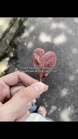 #xuhuong#fyp#fly#viral 