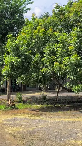 🔥🔥😋#herextiktok 