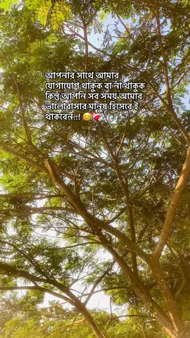 আপনার সাথে আমার যোগাযোগ থাকুক বা না থাকুক কিন্তু আপনি সব সময় আমার ভালোবাসার মানুষ হিসেবে ই থাকবেন..! 😊❤️‍🩹#caption #foryoupage 