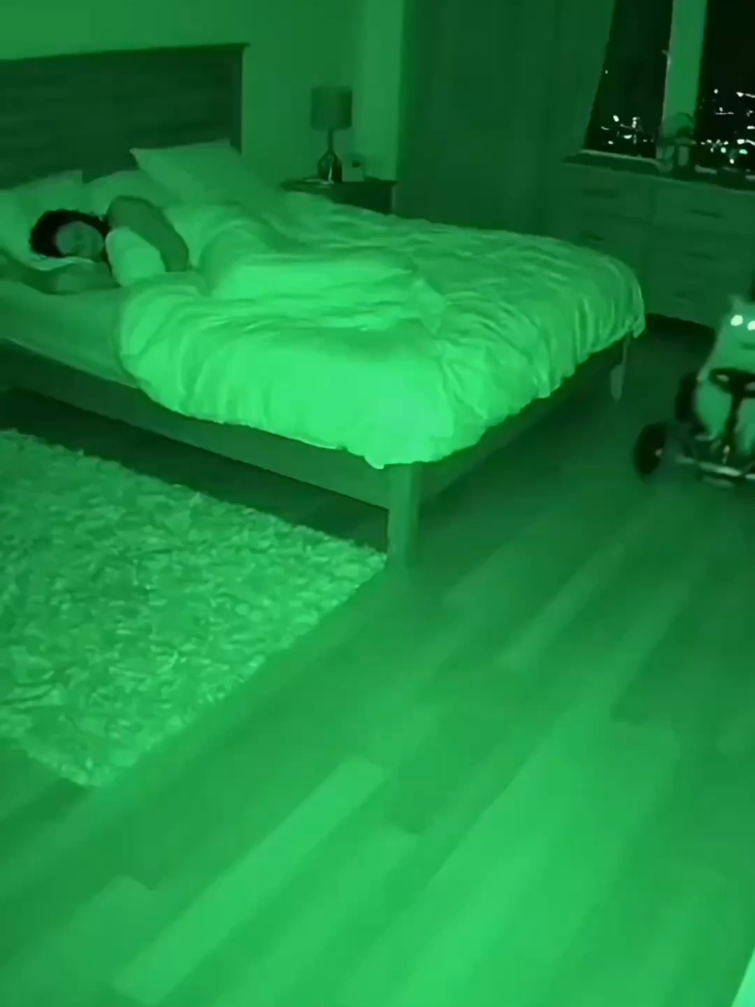 The chubby orange cat is going go-karting tonight! #cat #funny