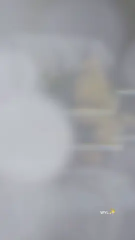 Bismillah..  ...  #Sehat - Sehat Hati & Tubuhku 🤲🙏😊🌹❤ #KataHati  #QuotesMotivasi  #Remindertomyself 