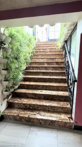 ' Nấc thang lên thiên đường ' phiên bản tại Khách Sạn mình ạ 😍☕️👩‍❤️‍👨 #camellialuxuryhotel  #nhachaymoingay  #langthangđườngphố  #xuhuong  #tamdaovinhphuc 