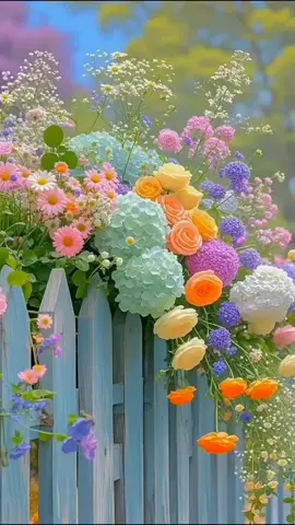 اللهم في هذا الصباح نسألك السلامة لارواحنا وابداننا والمغفرة لابائنا وامهاتنا والبركة في ارزاقنا وابنائنا يا رب العالمين.🌹🌿#صباحكم_سعاده #اللهم_بك_اصبحنا #اصباحنا_و_اصبح_الملك_لله #صباح_الخير #صباح_الورد 