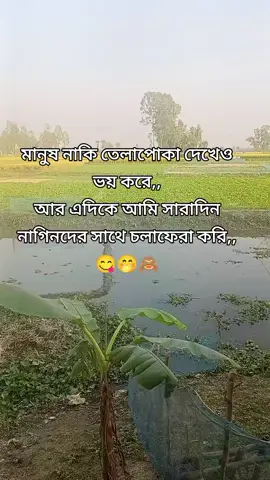 #🤔🤪😇 #কপিলিং #করো #ফরইউতে_দেখতে_চাই 
