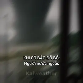 NGƯỜI VIỆT NAM VS NGƯỜI NƯỚC NGOÀI KHI THẤY BÃO ĐỔ BỘ#xuhuong #bão #phonk #xhhhhhhhhhhhhhhhhhhhhhhh #viral 