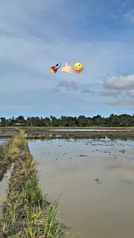 Info yg mau di dompeng sawahnya🤣#kuliboy🤙😜🚀 #bugissulawesi #bugistiktok #traktorsawah @1pul '271 #CapCut 