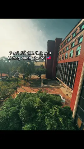 không có tình yêu cũng không có tri kỷ #越南人在台灣🇻🇳🇹🇼 #duhocsinh #xuhuong #taiwan🇹🇼 #xuhuongtiktok 