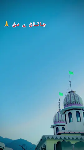 بادشاہ شاہ سید حسن؀ ولی بادشاہ خق دے 🙏🙏❤️💞#ukaccomodation #uk #support_me #forupage #support_me @مجنـــــــــون @Sayed 🔛🔝 @👑Naشoo✾baحi༶♛ 