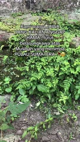 🥀 #banjir2025 #sibolga #banjirbandang #tapsel 