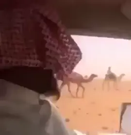 والله اني عليك أشفق من ام الحوير ‏ بأول إ ولادها قدام يجدل ولدهـا ‏ماتداني تجنب عنه دامه صــغير  ‏ لو يخلونها أهلها سـرت به وحدها ‏وان درع في قوايمها وطاح متحير ‏ وخرت رجلها وإلا رفعت عنه يـدها ‏ذي مودتك بالمكشوف وأنت المخير ‏سكر أبوابــــها وإلا تــبين وزدها  ‏⁧‫#عبدالله_المويس‬⁩ #صباح_الخير #قصيد#شعر #ديوانية_شعراء_النبط 