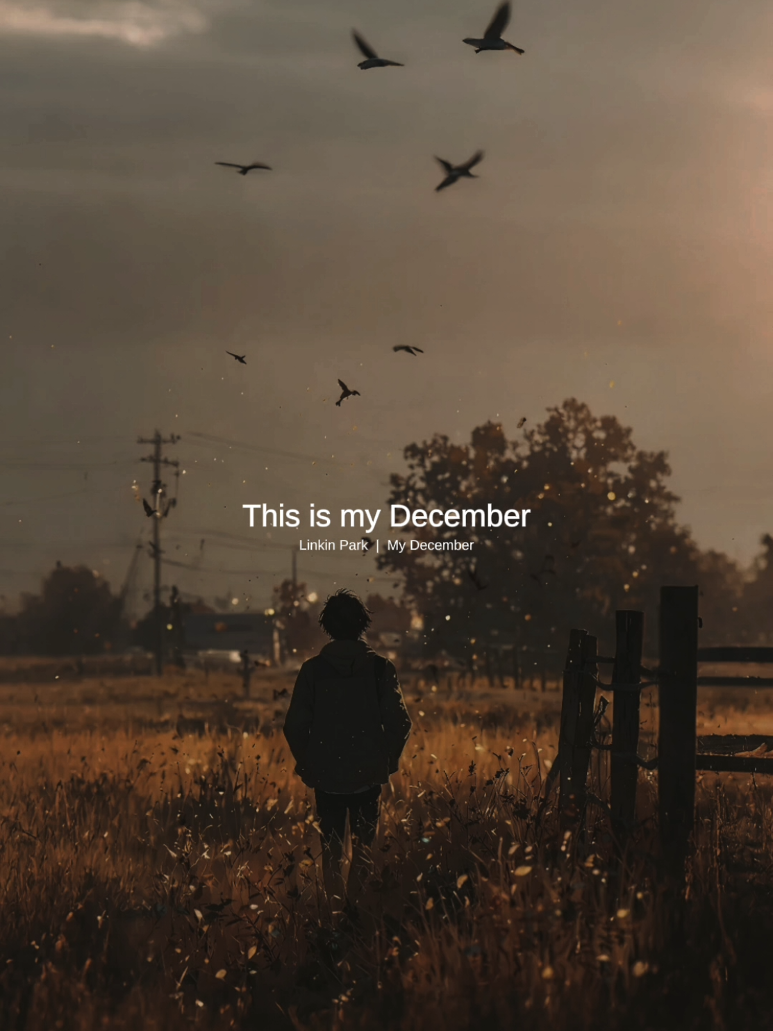 Linkin Park  |  My December . . . . #CapCut #linkinpark #mydecember #chesterbennington #december yu 