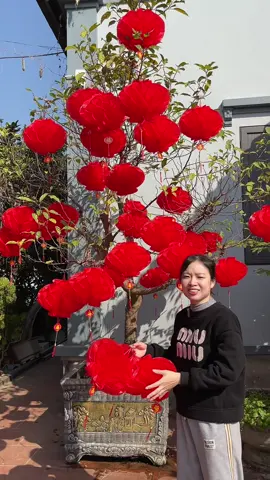 Còn vài cái chủ Nhật nữa là đến Tết bác mua bây giờ còn nhiều mẫu mã đủ zs số cho mình, giá lại rẻ treo cây cảnh, trang trí, Tết quá nổi quá đẹp ạ #xuhuong #qualongden #dotrangtritet2026 #longden 