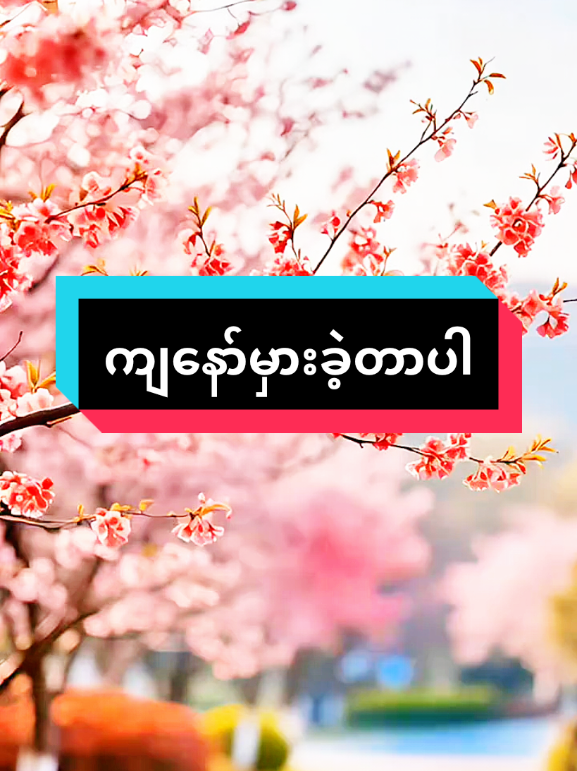 #ကျနော်မှားခဲ့တာပါ #အတွေးအခေါ်စာစုများ #မူရင်းအသံပိုင်ရှင်အားလေးစားစွာ credit ပေးပါတယ်#@naing oo.008#fyppppppppppppppppppppppp 