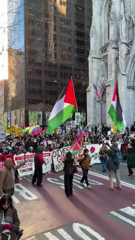 #fyp#in new york city✌️🇵🇸