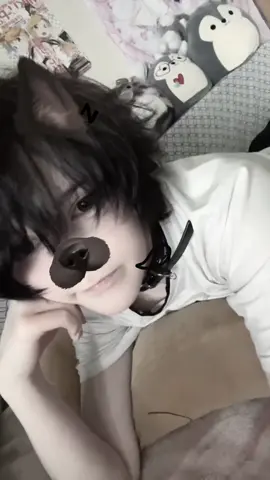 I’m shadowban forever save me from damnation I am just a small puppy in a cardboard box in the rain 😢🧁🥛 #fyp #puppyboy #эмо #fyp #alttiktok 