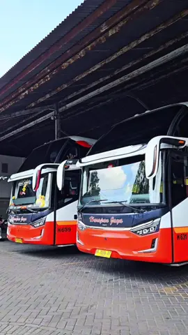 Pernah ingah ingih😭🙏🏻#harapanjaya #poharapanjaya #busmania #fy #fyppppppppppppppppppppppp 