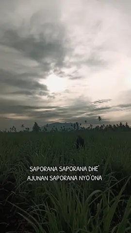 #khrkholilasadsamsularifin #petaniindonesia🇮🇩🇮🇩🇮🇩🌿🌿 