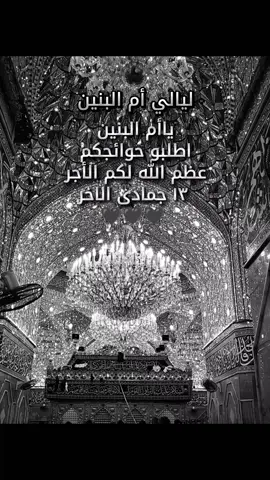 حاجات عدنه والمن يتجه الملهوف #ياأم_البنين #ام_البنين_عليها_السلام  #كرار_العارضي  #تصويري #تيكتوك 