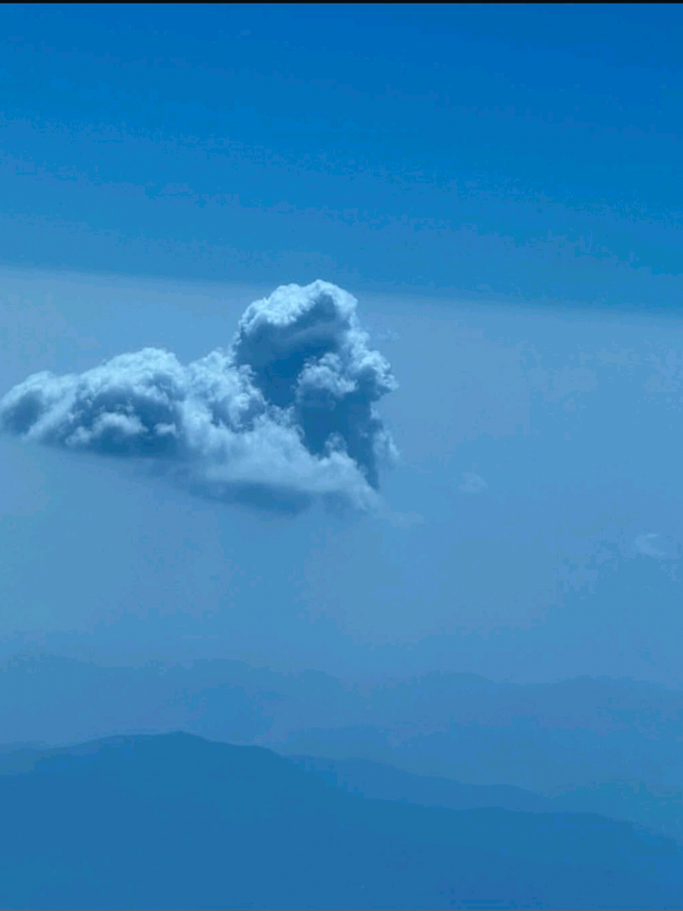 merah, ijo, biru eh ke pilih semua🥰🥰🥰🫰 #mark #nct 