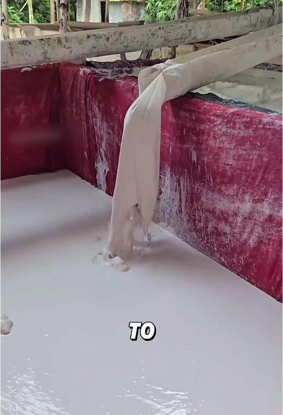 “Lime Production in Bangladesh.”#trivia #foryou #tiktok #fyp #viral #shorts 