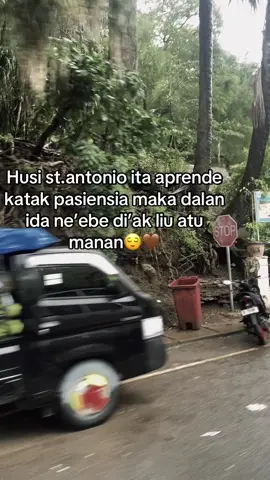 santo antonio🤎#beheda 