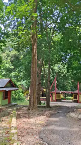 Taman wisata Alam Sember Semen.kec Sale kab Rembang Anak 80an pasti tau lah tempat wisata ini...#rembang24jam #fyppppppppppppppppppppppp #xyzbca #fyp #foryoupage 