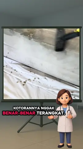 Sofa kotor bikin sarang kuman