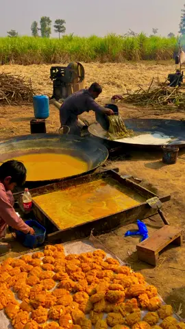 #میرا_سوہنا_پنڈ_ڈھولن_چک_27_ضلع_قصور #dont_under_review_my_video #unfreezmyaccount #500kviews #viewsproblem 