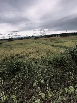 一句“没关系”，藏着多少委屈和失望，没人知道。 Một câu “không sao” giấu bao nhiêu tủi thân và thất vọng – chẳng ai biết cả. #xh #fyp #tamtrang #cap #chill 
