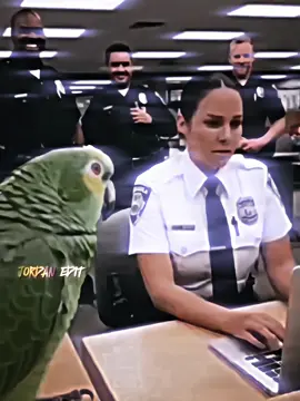 emotional damge😂 comig 600k pro/sis #fyp #foryou #jordan1 #viralvideos #viral 