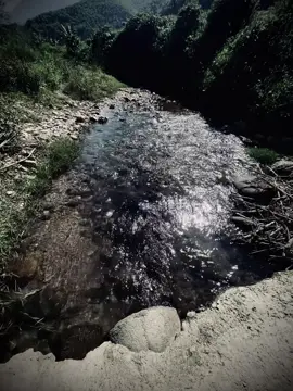 “Đời như con sông có lúc đục có lúc trông…