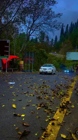 Murree weather 💛🍂#islamabad #fouryoupage #tiktokoffical #greenpakistan⚘🇵🇰⚘ #standwithkashmir 