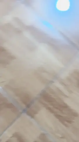 #foryoupage #platktiniboss 