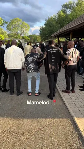 #mamelodi 