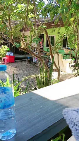 #ตุ๊กตาดูดกลิ่นตุ๊กตาคาร์บอน#อันอันรีวิวของกินของใช้ #ดูดกลิ่นอับกลิ่นเหม็นกลิ่นไม่พึงประสงค์#ตุ๊กตาประดับตุ๊กตาตกแต่ง#tik tok shop